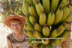 humanite-madagascar-2013-visages-paysages-nourriture