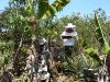 brousse-cours-apiculture